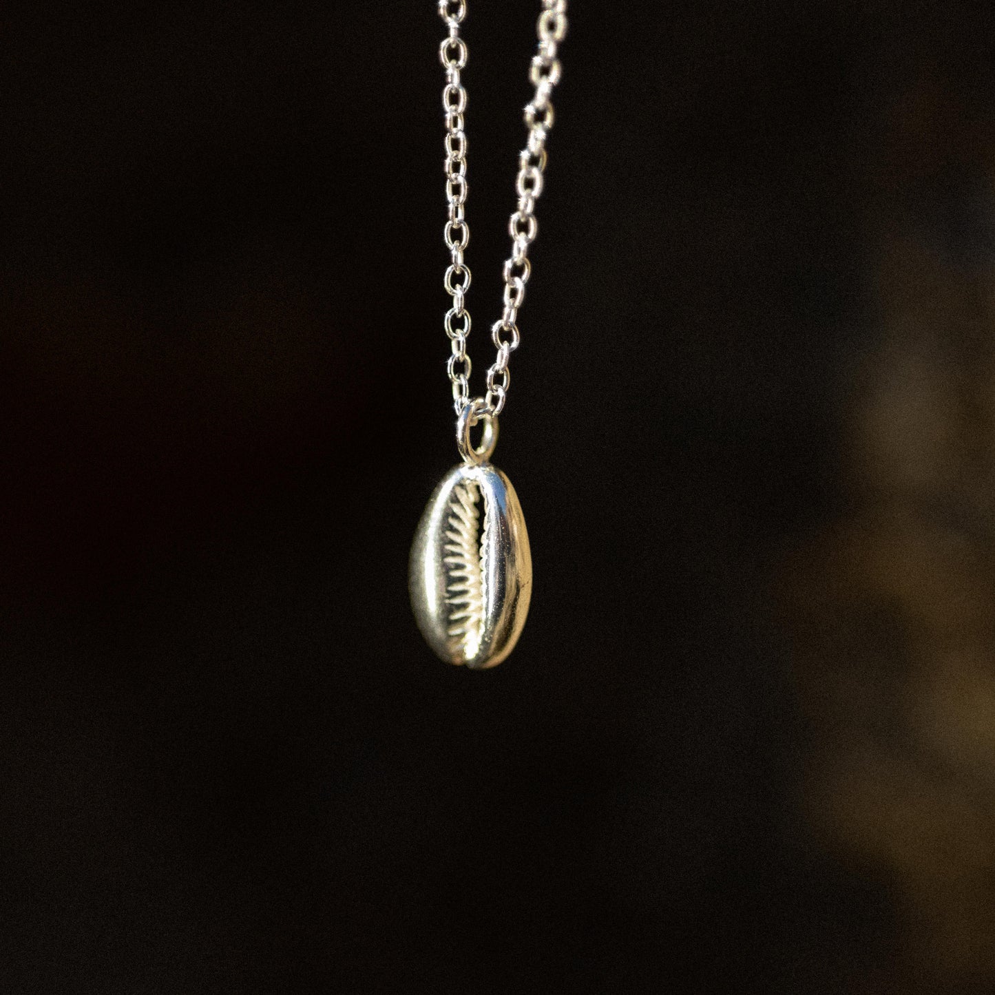 Collar Cowrie